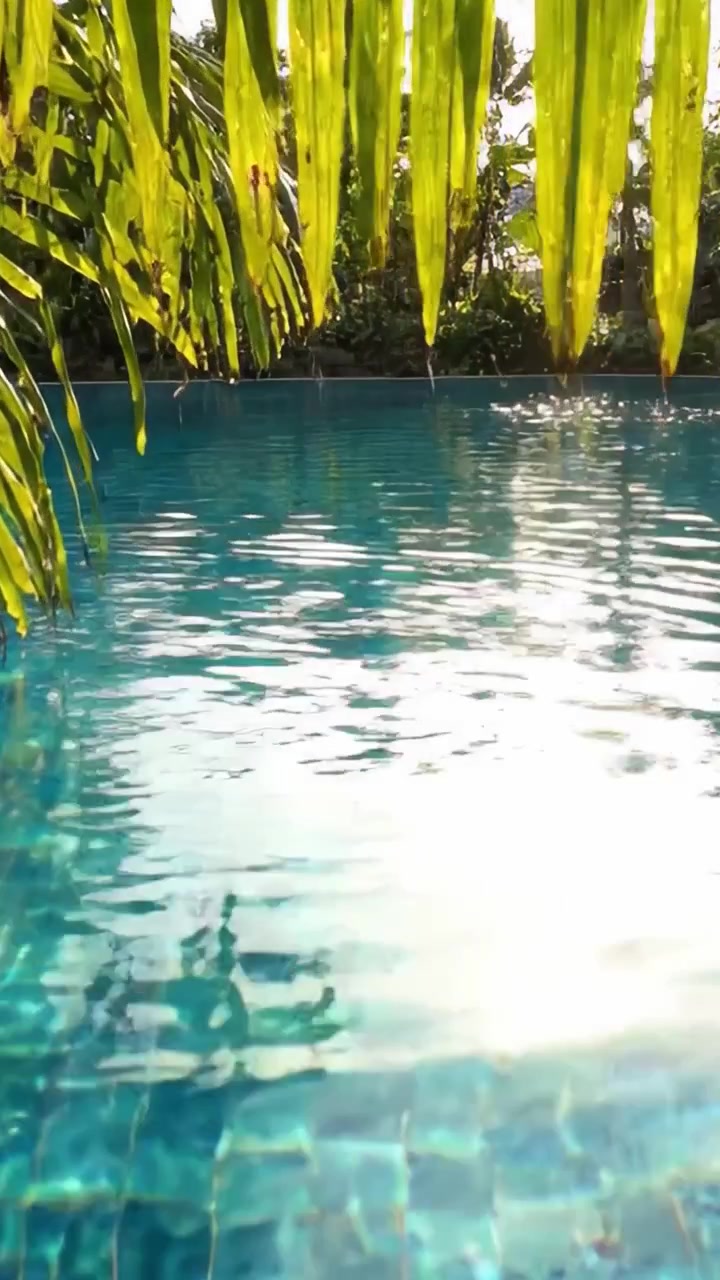 Tranquil Poolside Oasis: A Serene Escape Beneath Lush Greenery Revealing Crystal-Clear Waters and Gentle Sunlight Reflections for Ultimate Relaxation