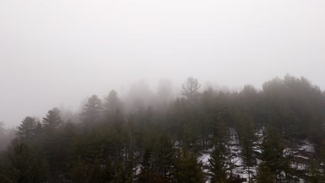 A breathtaking aerial view of a mist-covered forest with trees fading into the distance, creating a serene and mysterious atmosphere. Perfect for nature and tranquil-themed projects.