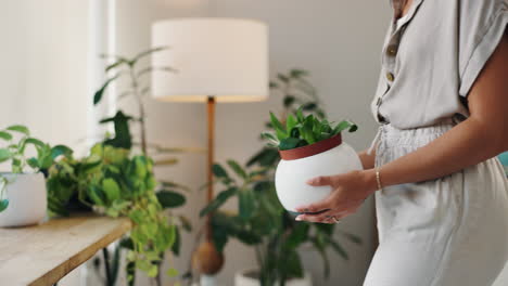 woman caring for houseplants at home