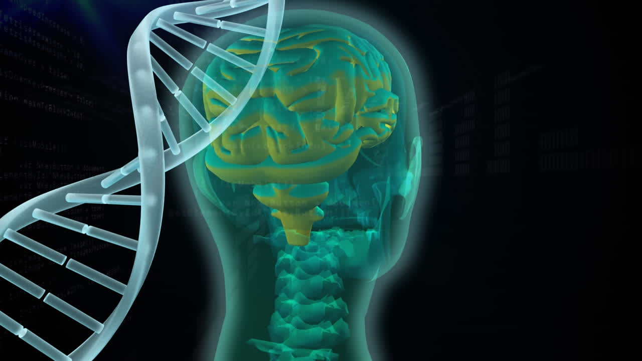 compuesto digital de la codificación genética del cerebro humano