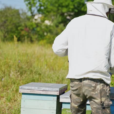 apiary in the countryside. beekeeper specialist in protective hat working near wooden beehives in summer. beekeeping process.