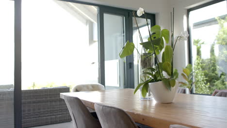 a vase with white flowers sits on wooden table, bright sunlight filling room