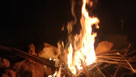 Bonfire-burning-trees-at-night