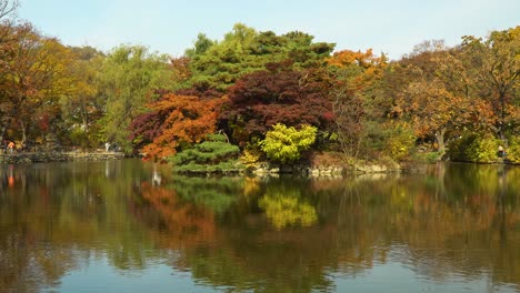 Reflexiones-De-Otoño-Estanque-Chundangji,-Corea-Del-Sur