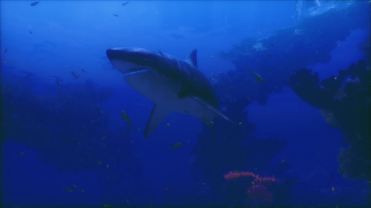 Majestic shark gliding through vibrant underwater landscape in ocean depths