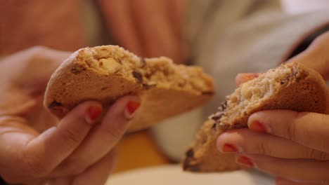 close up of woman's hands holding a chocolate chip cookie