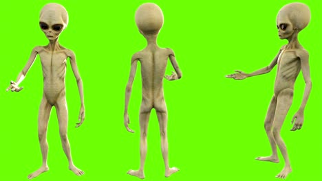 alien talks. loopable animation on green screen. 4k.