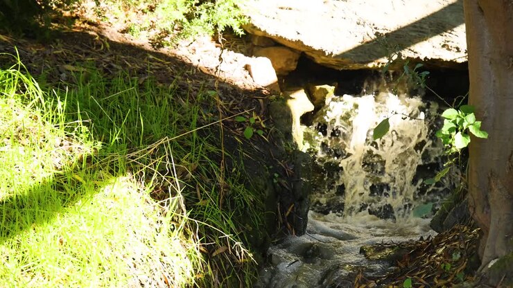 Water cascades through lush green forest area