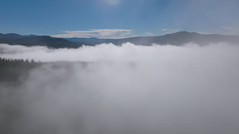 Soar-through-wispy-fog-layer-hanging-above-ever-green-tree-forest-in-the-early-morning