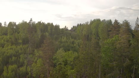 drone flying towards small red cottage in the middle of a swedish forrest