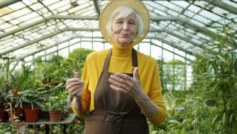 senior woman gardener in greenhouse