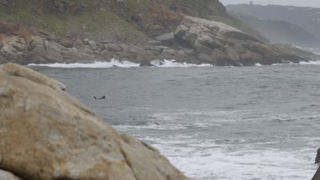 Los-Surfistas-Intentan-Montar-En-Olas-Altas-En-La-Playa