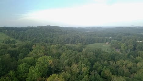 flight over the country side by drone over woods