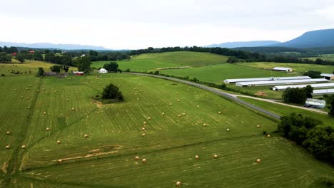 Vista-Aérea-De-Drones-De-Una-Granja-Cubierta-De-Hierba-Verde-En-Un-Día-Soleado