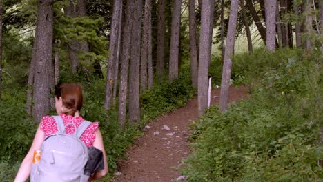 Woman-walking-in-the-forest-with-her-small-black-dog