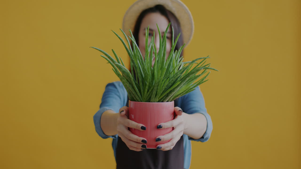 Woman Holding Aloe Vera Plant