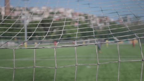 soccer players on the field