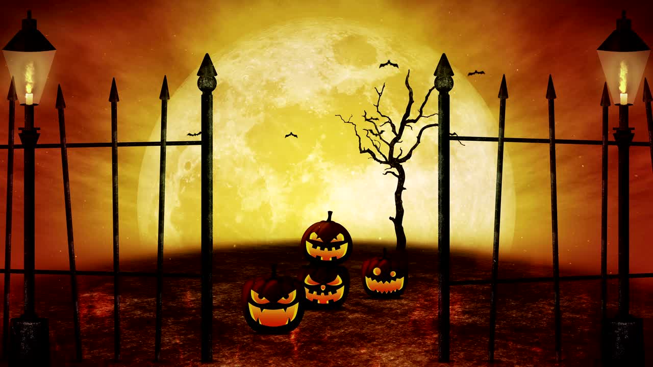 halloween cabeza de calabaza jack linterna, noche espeluznante, bucle