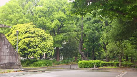 東京最美麗的景色