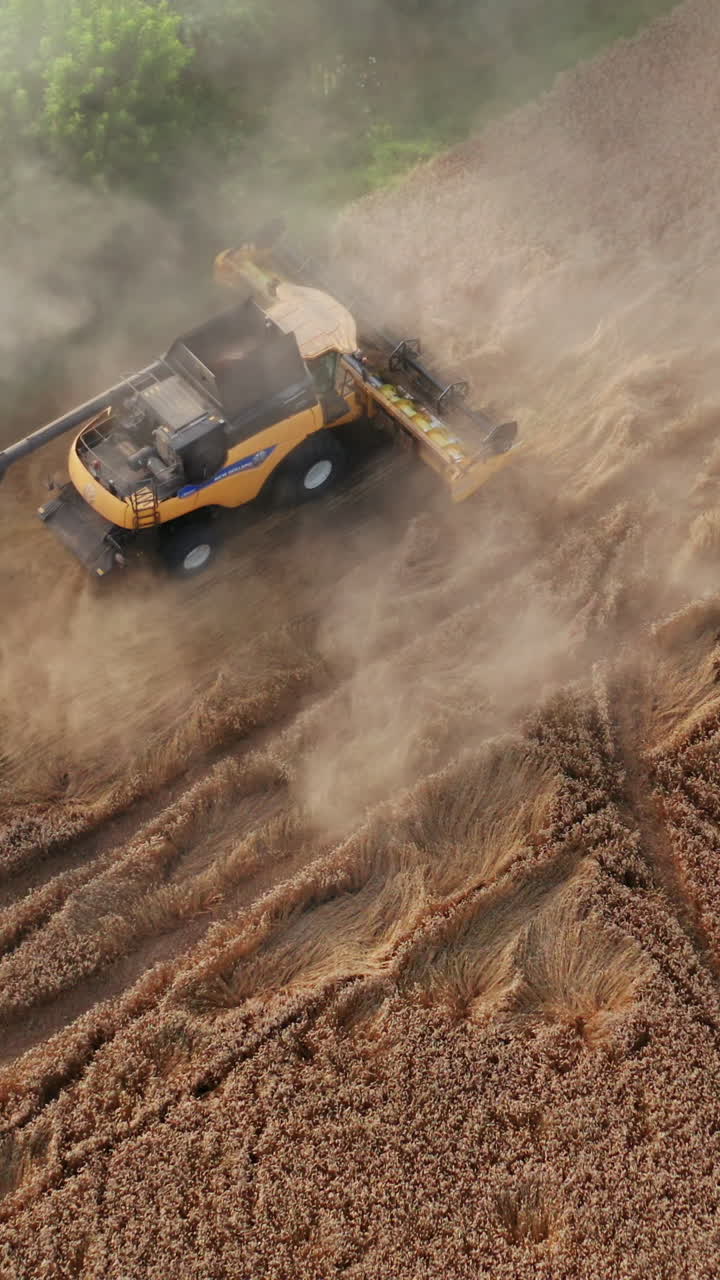 Yellow harvester has stuck a little so moves slowly backwards. Clouds of dust rising from machine. Green trees at backdrop. Vertical video