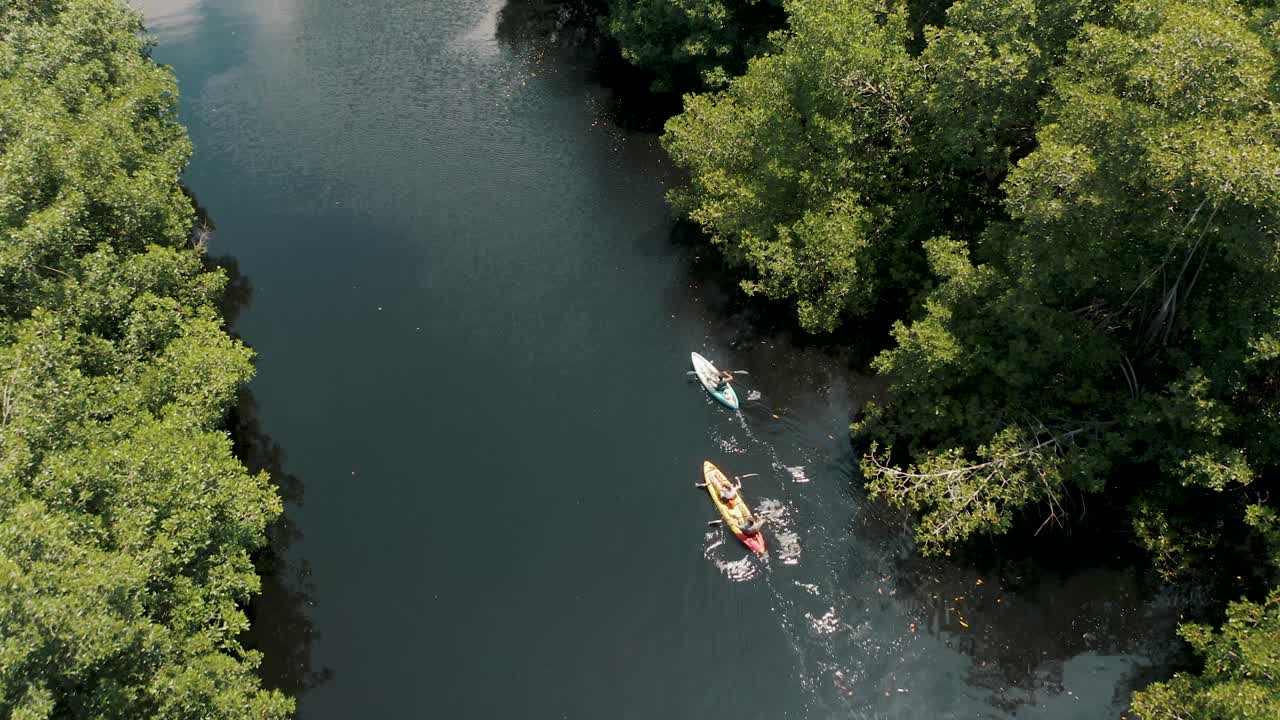 People Paddle Kayaks On River In Mangrove Swamp In El Paredon, Guatemala - aerial shot