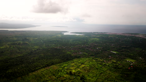 los campos de tierras de cultivo en terrazas crean un patrón geométrico que contrasta con el bosque natural cerca de la costa de bali