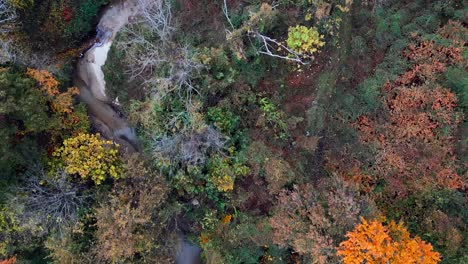 an aerial view over colorful trees and a curvy stream in a large park on a sunny day in autumn