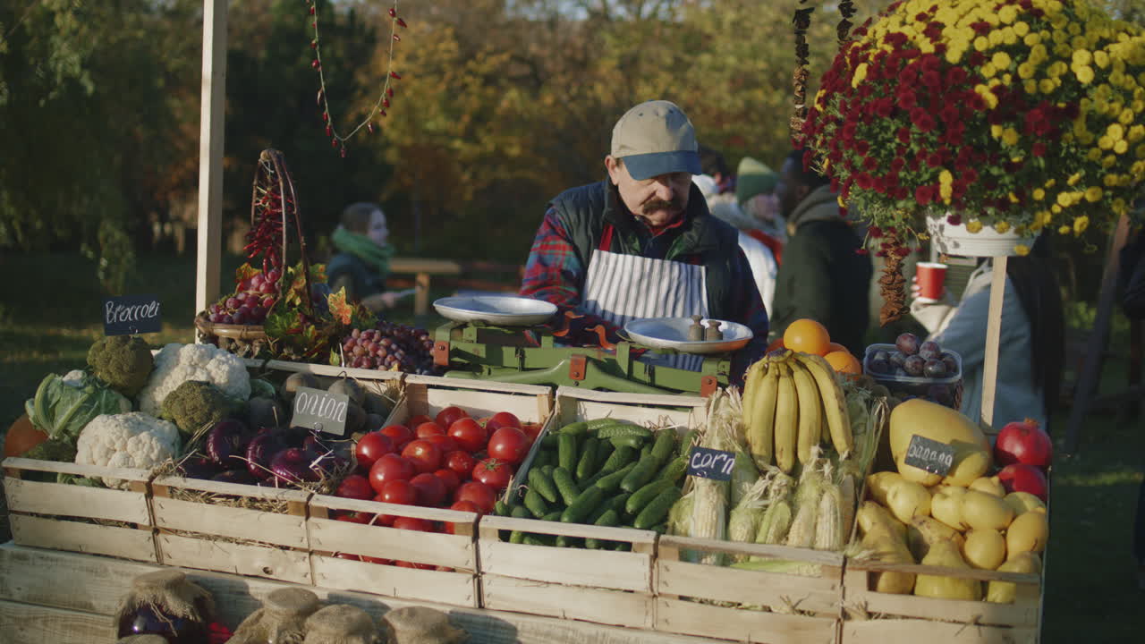 Farmer with Bushy Mustache Lays out Fruits Farmer with Bushy Mustache Lays out Fruits and Vegetables Owner of Point of Sale Looks Forward to Start Productive Workday Elderly Man Engages Favorite Job Vegetarian and Organic Food Agriculture