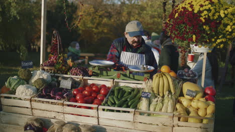 farmer with bushy mustache lays out fruits farmer with bushy mustache lays out fruits and vegetables owner of point of sale looks forward to start productive workday elderly man engages favorite job vegetarian and organic food agriculture