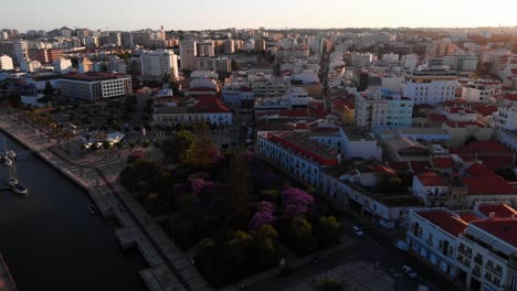 Beautiful-cityscape-with-red-rooftops-and-park-with-pink-foliage-during-sunset