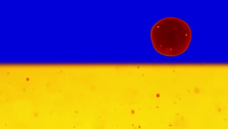 red bubbles floating down on blue and yellow background, ukraine flag background looped video