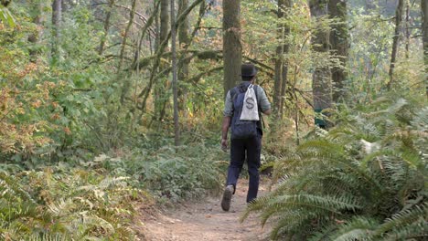 Hombre-Caminando-Por-Un-Sendero-A-Través-De-Un-Rorest-Verde