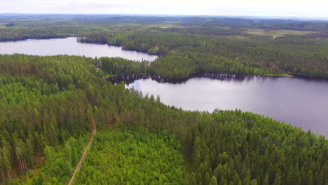 Drone-view-of-a-private-road-leading-to-a-secret-cabin-middle-of-nowhere