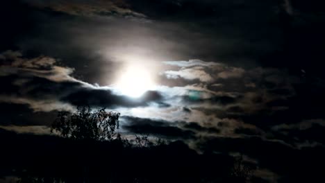 full moon moves in the night sky through dark clouds and trees. time lapse