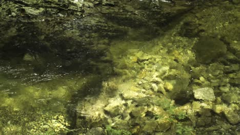 El-Agua-Fluye-Hacia-Un-Arroyo-Claro-Y-Refrescante-En-Verano