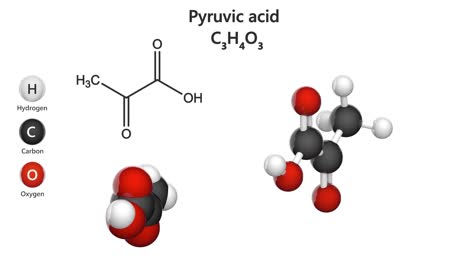 pyruvic acid (c3h4o3). seamless loop.