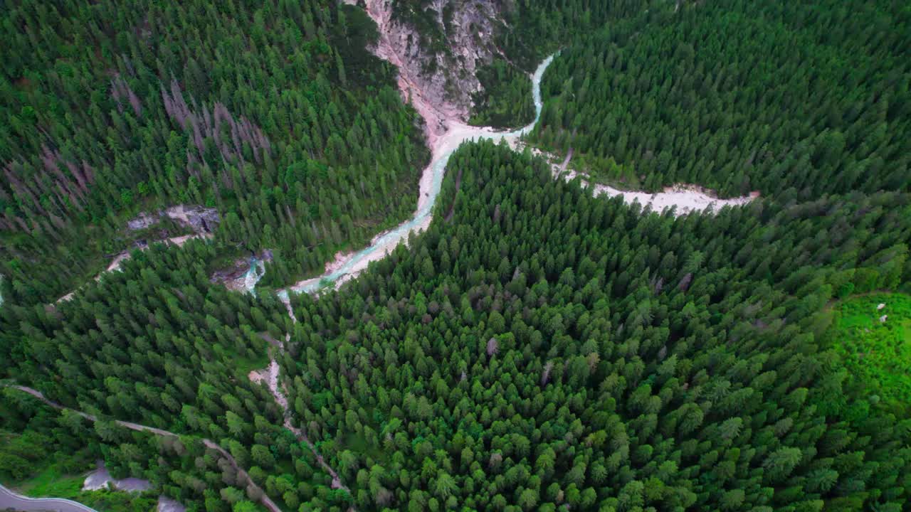vista de arriba del bosque de abetos y el arroyo del río