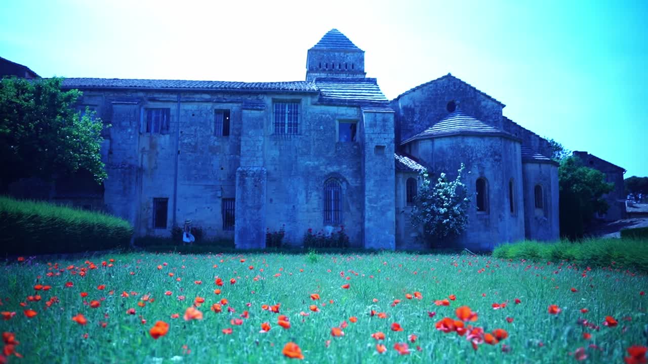 몬 필드 가든 라벤더 가든 인 세인트