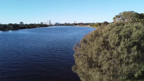 drone shot descending down from view to foreshore bank with paperbark tree swan river to skyline of perth, western australia