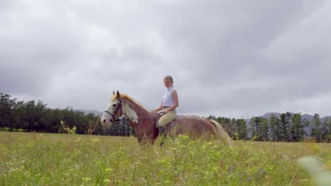 cabalgar libremente en un campo de flores con un cielo dramático