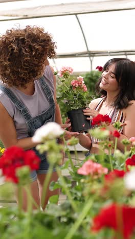 gardeners smelling and showing flowers in greenhouse. vertical