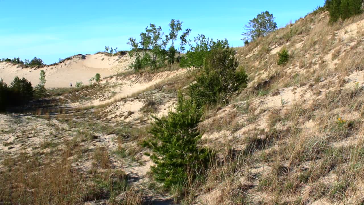 Breathtaking view of sandy dunes and sparse vegetation under clear blue skies at Indiana Dunes National Park, showcasing serene and untouched natural beauty in bright daylight
