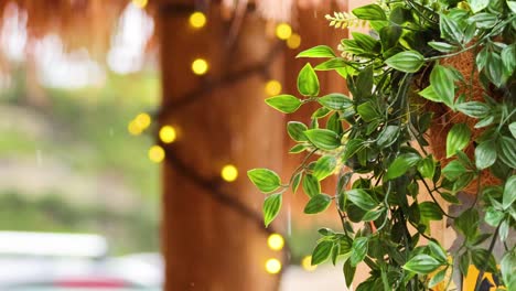 vibrant plants and glowing lights in outdoor setting