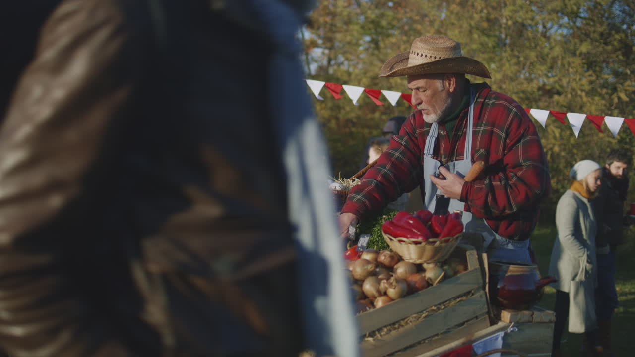 Farmer Lays out Vegetables Farmer Lays out Vegetables Owner of Point of Sale Looks Forward to the Start of a Productive Work Day Senior Woman Engages Favorite Job Vegetarian and Organic Food Agriculture Closeup View