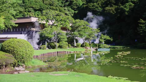 summer pond in japan, dragonflies and lily pads with geothermal steam