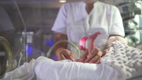 nurse gently touching fragile newborn in neonatal incubator