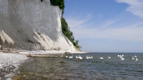 Chalk-Cliffs-on-Ruegen-Rügen-in-Germany,-Mecklemburg-Vorpommern-on-a-beautiful-sunny-day