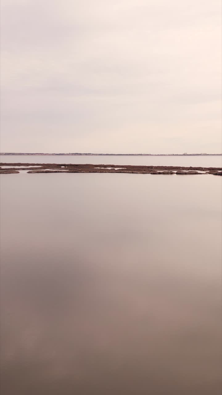 A serene view of a lake with marshland