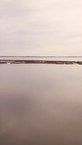 a serene view of a lake with marshland