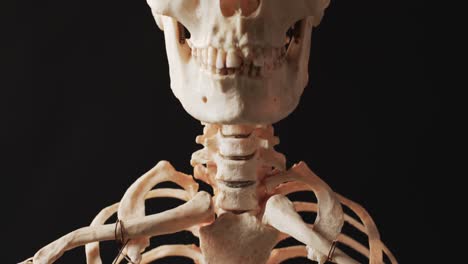 video of close up of halloween skeleton and copy space on black background